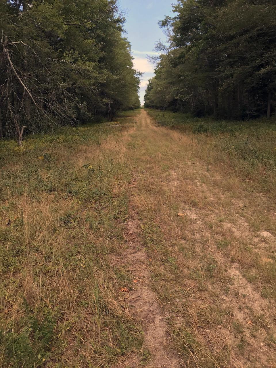 On the preserve's southern border, a wide, grassy lane follows the easement for an underground gas line.