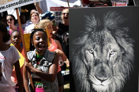 Animal rights activists demonstrate outside the Sandton convention center, a venue hosting the 17th meeting of the U.N.'s Convention on International Trade in Endangered Species (CITES) in Johannesburg, South Africa, September 24, 2016. REUTERS/Siphiwe Sibeko