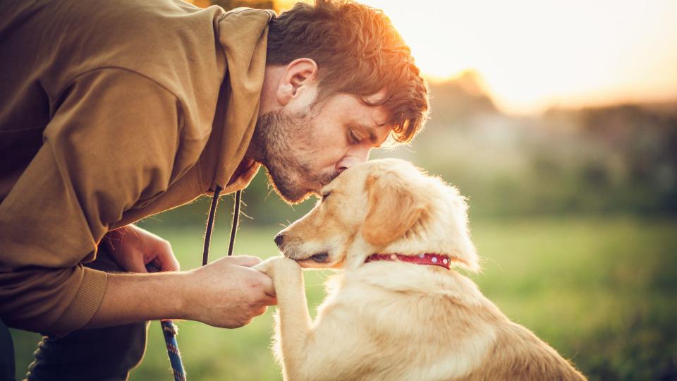 Man giving dog a kiss on the head