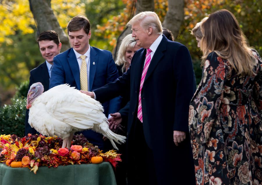 The internet has feelings about Trump’s presidential turkey pardon