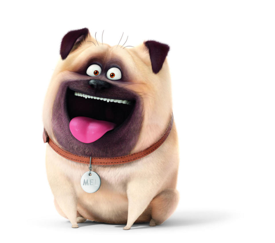 MEL: Un Pug optimista y nervioso, Mel es un conquistador por dentro, un pug bobo por fuera.  