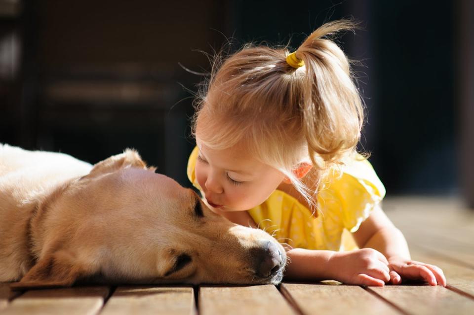 Les jeunes enfants de moins de 5 ans sont plus exposés aux maladies zoonotiques et adoptent souvent des comportements qui augmentent le risque de contracter une infection de leur animal de compagnie. Shutterstock