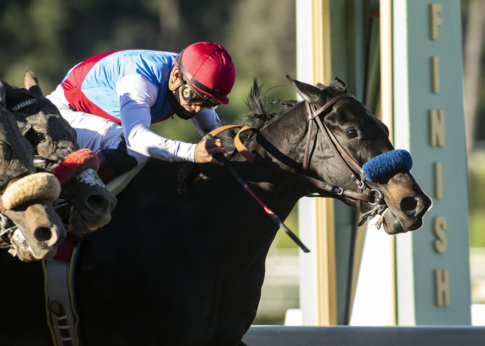 In this image provided by Benoit Photo, Medina Spirit, with Abel Cedillo aboard, wins the Grade III, $100,000 Robert B. Lewis Stakes horse race Saturday, Jan. 30, 2021, at Santa Anita Park in Arcadia, Calif. CA. (Benoit Photo via AP)