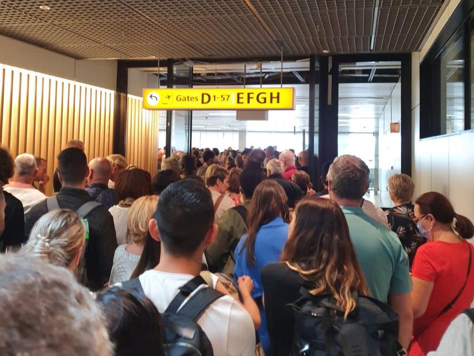 Queues at Amsterdam Schiphol on Monday (Twitter/Andrew Shokry Louiz)
