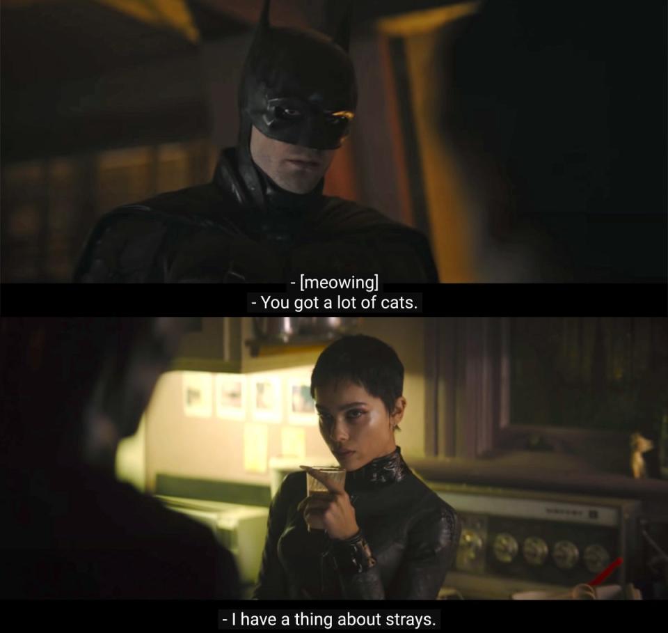 The Batman Catwoman strays