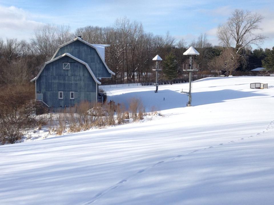 American Rescue Plan dollars could be used to convert the amphitheater at St. Patrick's County Park in South Bend to a multi-purpose space.