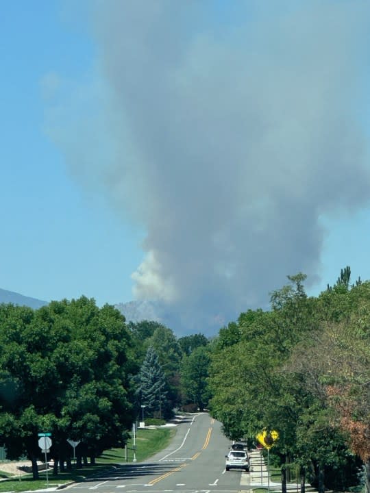 The Alexander Mountain Fire burning in Larimer County on July 29, 2024.