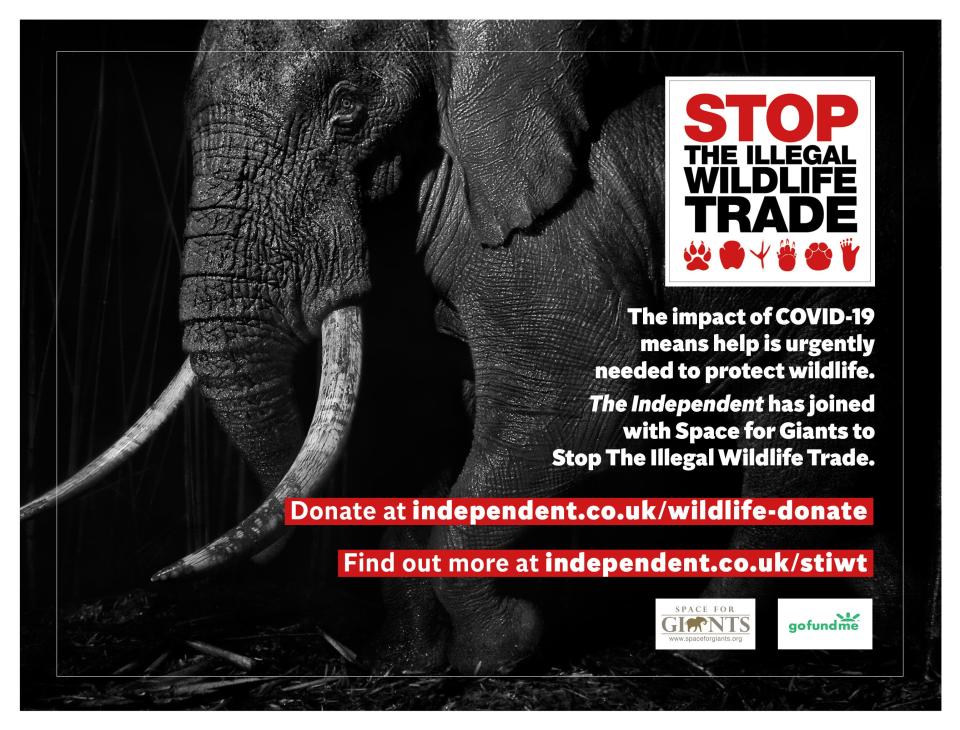 We are working with conservation charity Space for Giants to protect wildlife at risk from poachers due to the conservation funding crisis caused by Covid-19. Help is desperately needed to support wildlife rangers, local communities and law enforcement personnel to prevent wildlife crime. Donate HEREThe Independent