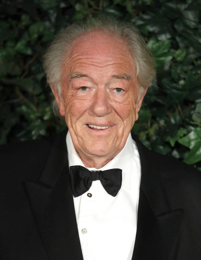 Closeup of Michael Gambon