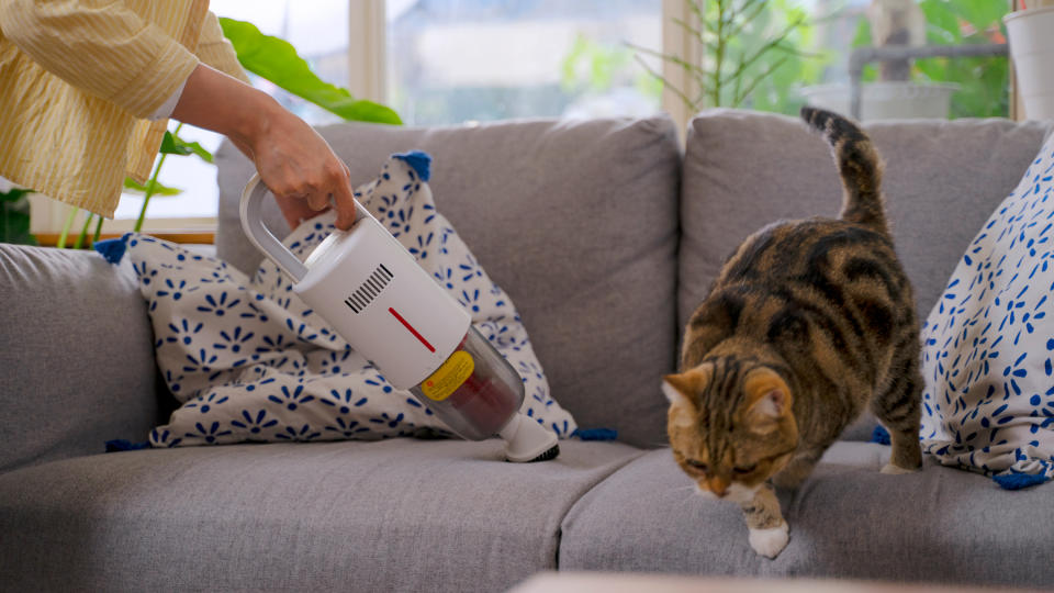 Cat jumping off sofa that is being hoovered