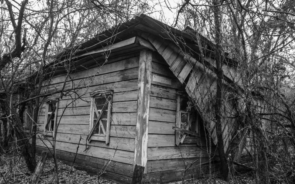 'The peace of a country house I don’t have': one of Kamysh's images of the Exclusion Zone 