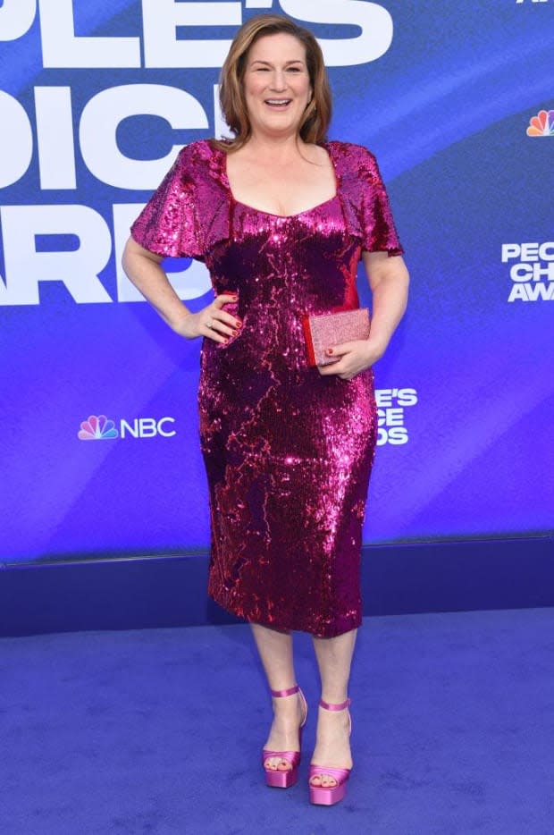 <p>Ana Gasteyer</p><p>Photo by Lisa O'Connor/AFP via Getty Images</p>