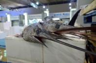 Quota to protect Mediterranean swordfish adopted