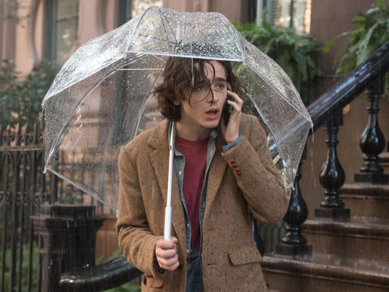 Where directors like Greta Gerwig wring the charm and goofiness out of Chalamet's youthful propensity for pretension, here Allen lets it fester