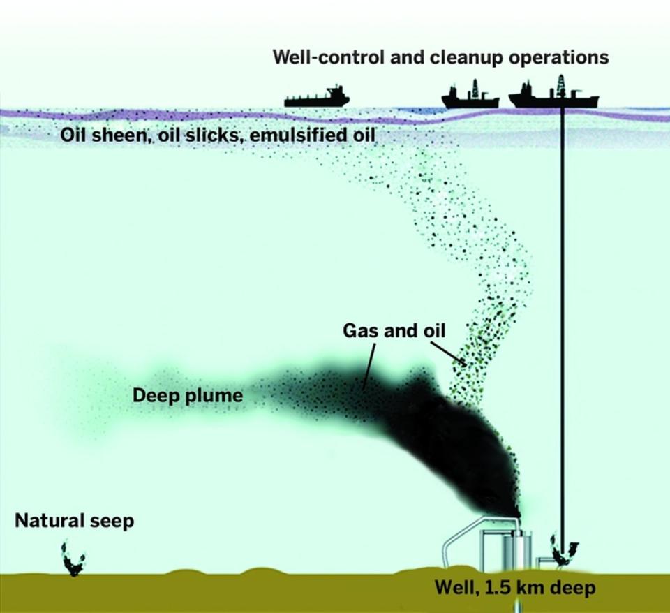 <span class="caption">This conception of the deep plume shows how oil rose from the well. At a depth of 1 kilometer, bacteria consumed the oil.</span> <span class="attribution"><a class="link " href="https://pubs.acs.org/doi/abs/10.1021/es2013227" rel="nofollow noopener" target="_blank" data-ylk="slk:Adapted from Environ. Sci. Technol., DOI: 10.1021/ES2013227;elm:context_link;itc:0;sec:content-canvas">Adapted from Environ. Sci. Technol., DOI: 10.1021/ES2013227</a></span>