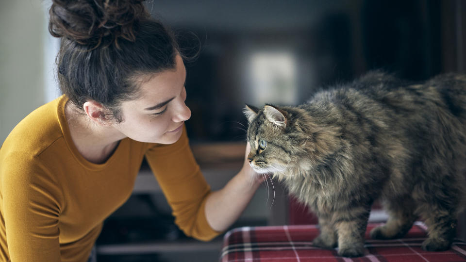 woman looking at her cat