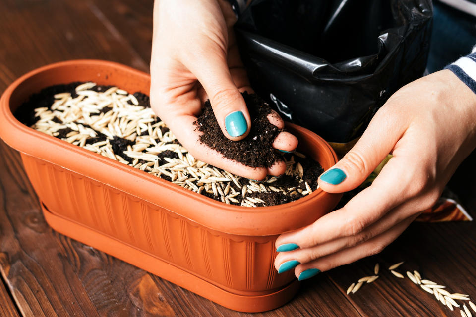 Create Your Own Potting Mix