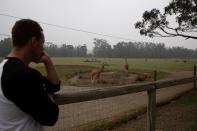 Director of Mogo Zoo Chad Staples looks at the zoo's giraffes in the village of Mogo