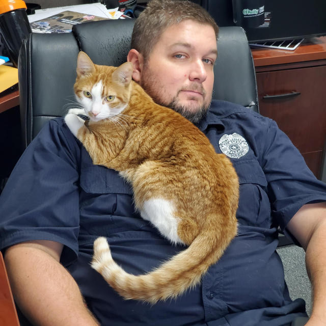 The Long Paw Of The Law: Cat Helps Port Lavaca Police Department