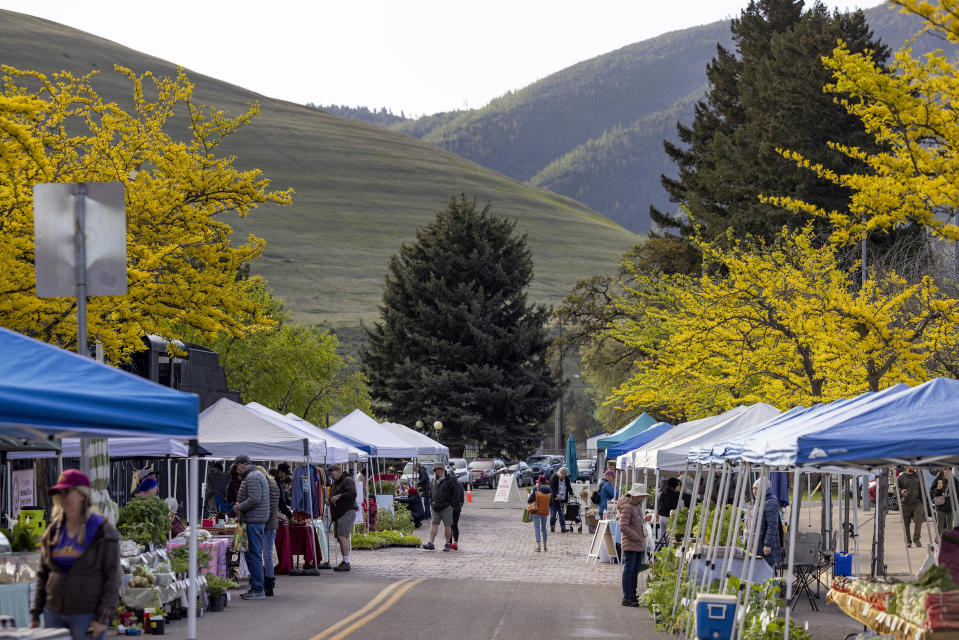 A farmers market in Missoula, Mont., where this seasonÕs foraged and coveted morels were for sale, May 18, 2024. Collecting wild mushrooms, berries and other foods from public forests and parks has become so popular that state and federal agencies have begun weighing more restrictions. (Tailyr Irvine/The New York Times)