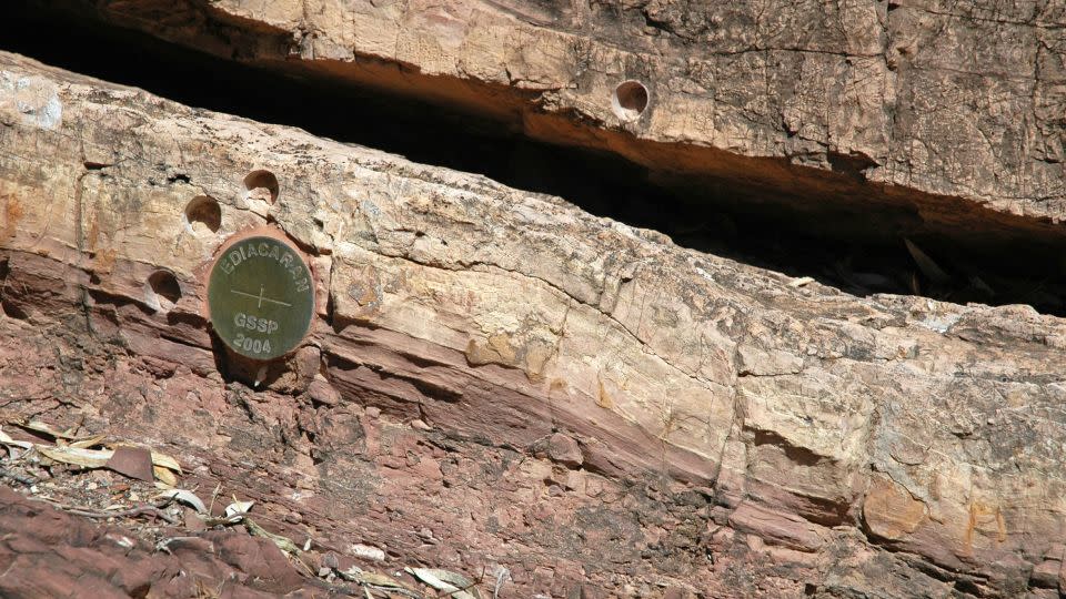 This is a global stratotype section — or golden spike — in the Flinders Ranges of South Australia that marks the beginning of the Ediacaran Period, which started 635 million years ago. - From James St. John/Flickr