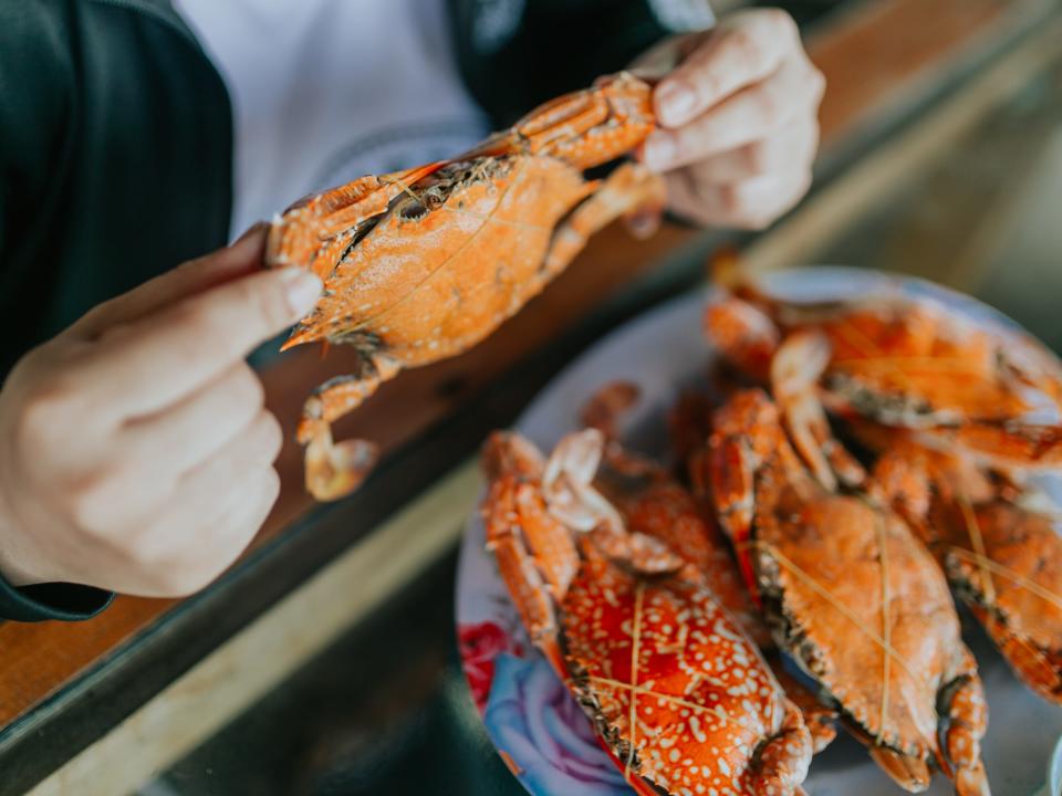 person holding up steamed crab