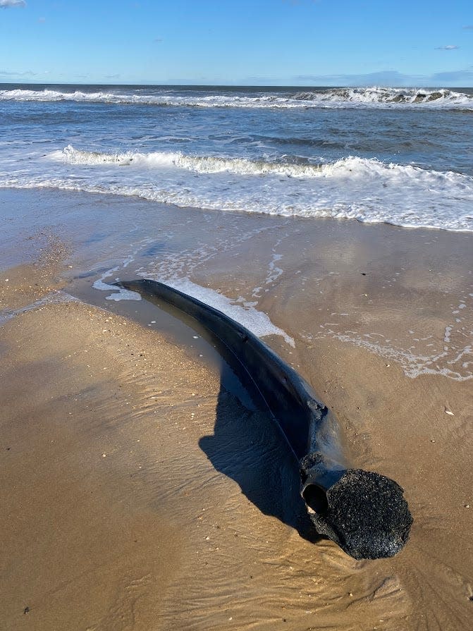 The jawbone of a baleen whale washed up in Bethany Beach Jan. 10, 2023.