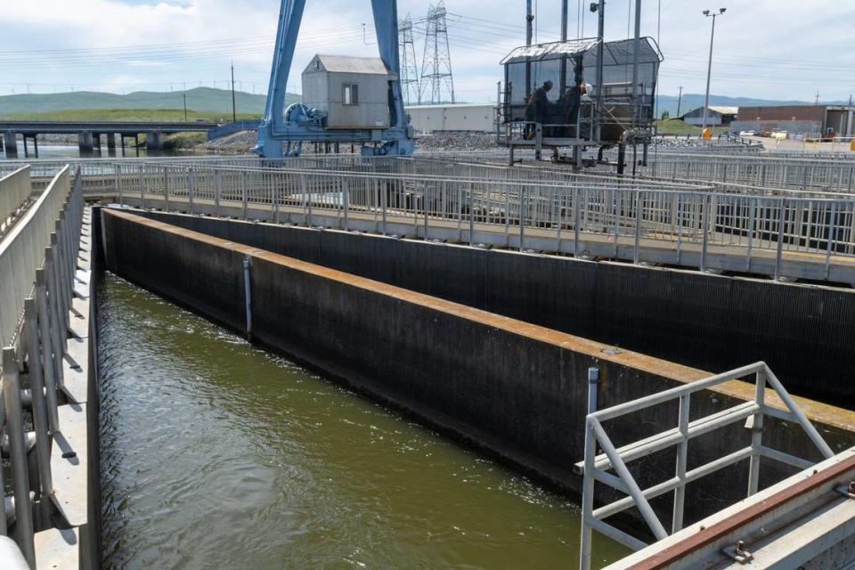 Smaller fish are guided by a louver system into a bypass pipe at the John E. Skinner Delta Fish Protective Facility near Byron in April. The facility intercepts fish, which are released back into the Delta, before they reach the Harvey O. Banks Pumping Plant at the beginning of the California Aqueduct.