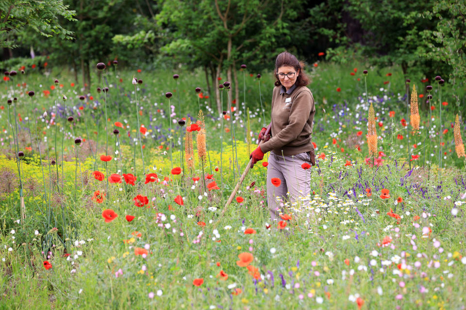 Team leader Heather Cooke making final preparations to the wildlife garden at RHS Hilltop (Oliver Dixon/RHS/PA)