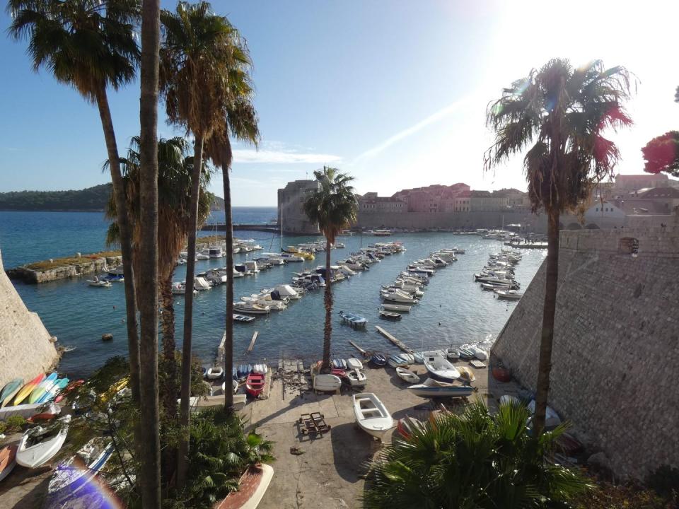 a beach with boats and palm trees