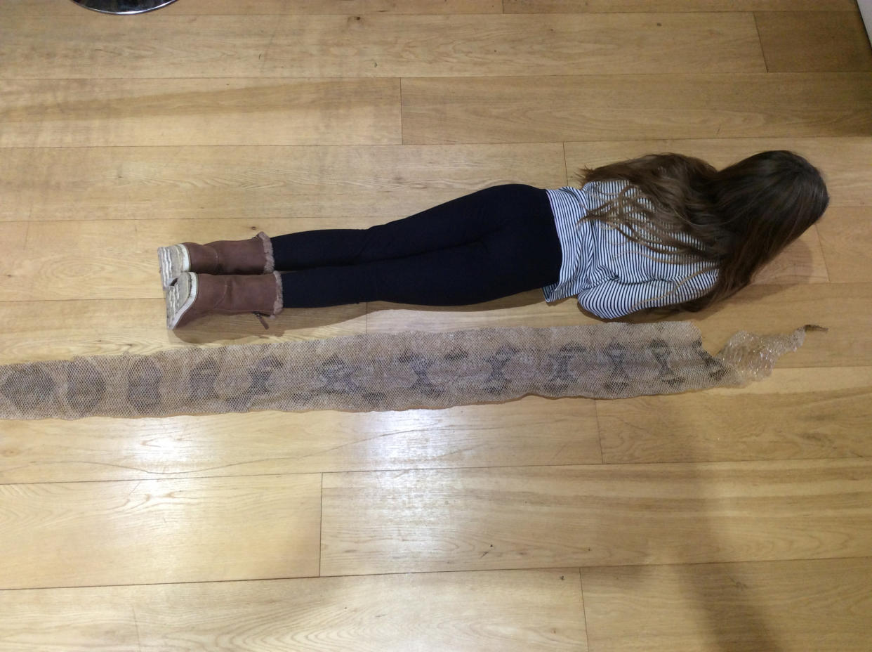 Amelia lying next to the gigantic snake skin. (SWNS)