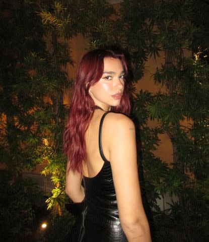 <p>Dua Lipa Instagram</p> Dua Lipa's cool-toned red hair.