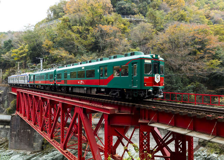 大阪賞楓就靠它！「南海電鐵全線2日券乘車券」沿線的大阪紅葉景點5選