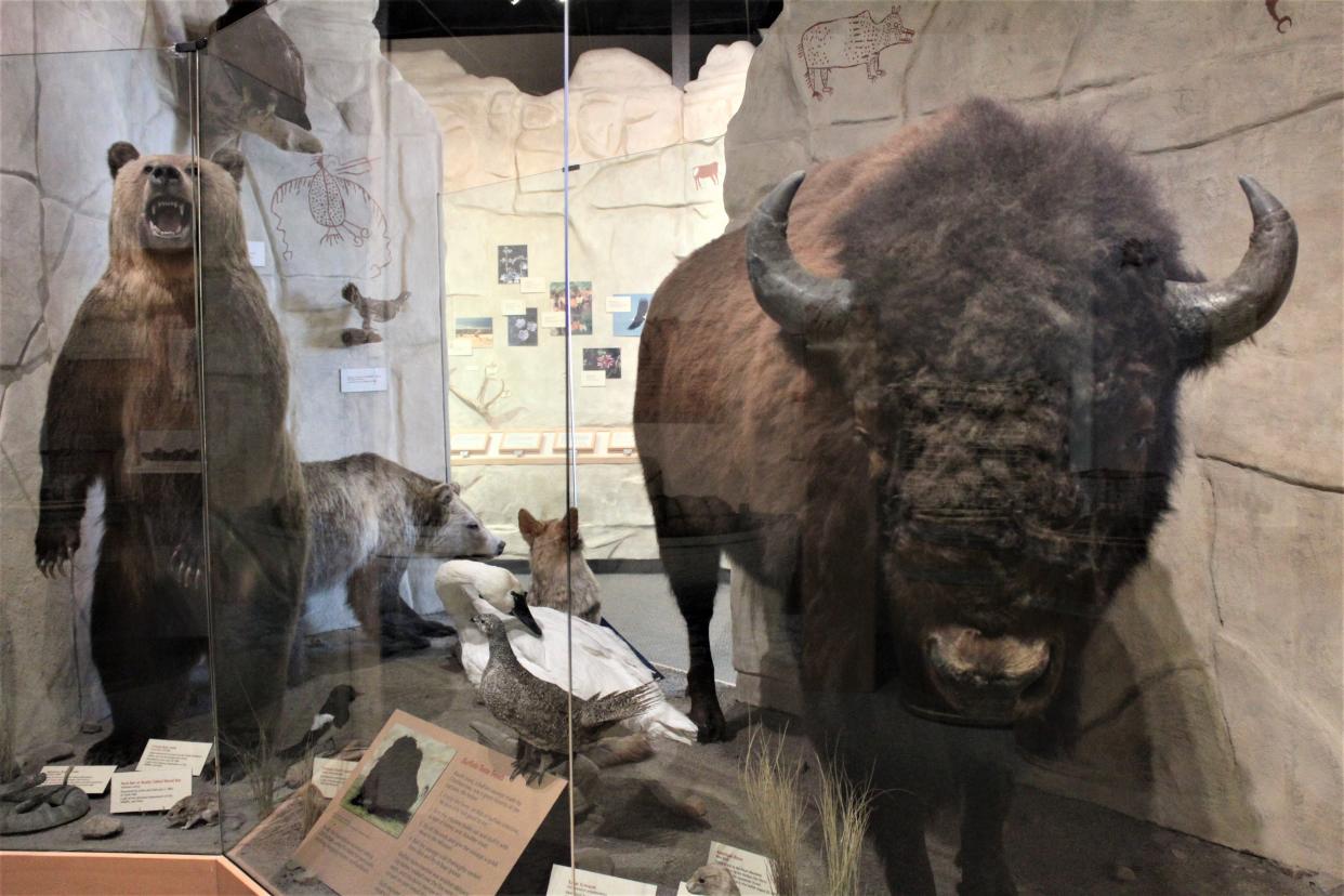 One of the many displays within the exhibition at the Lewis and Clark Interpretive Center