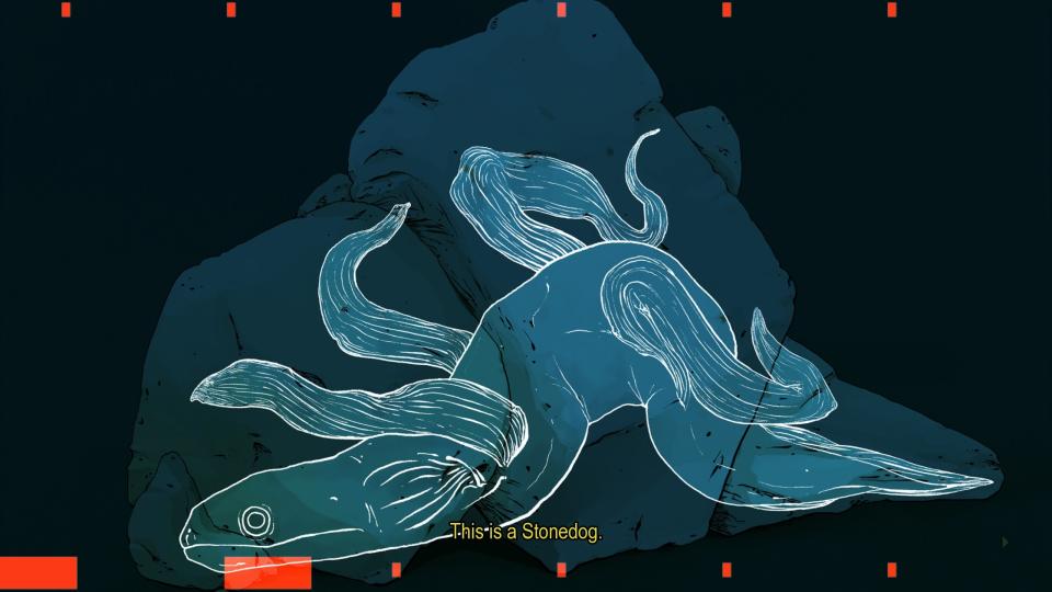 X-ray of eel-type creature hiding in rocks