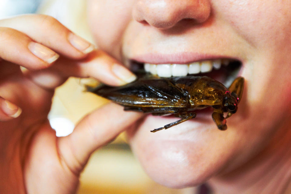 Turista comiendo una cucaracha Foto: Shutterstok.