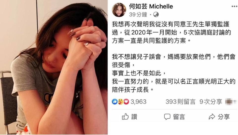 何如芸臉書發文再次強調爭取小孩的共同監護權。（翻攝自何如芸臉書）