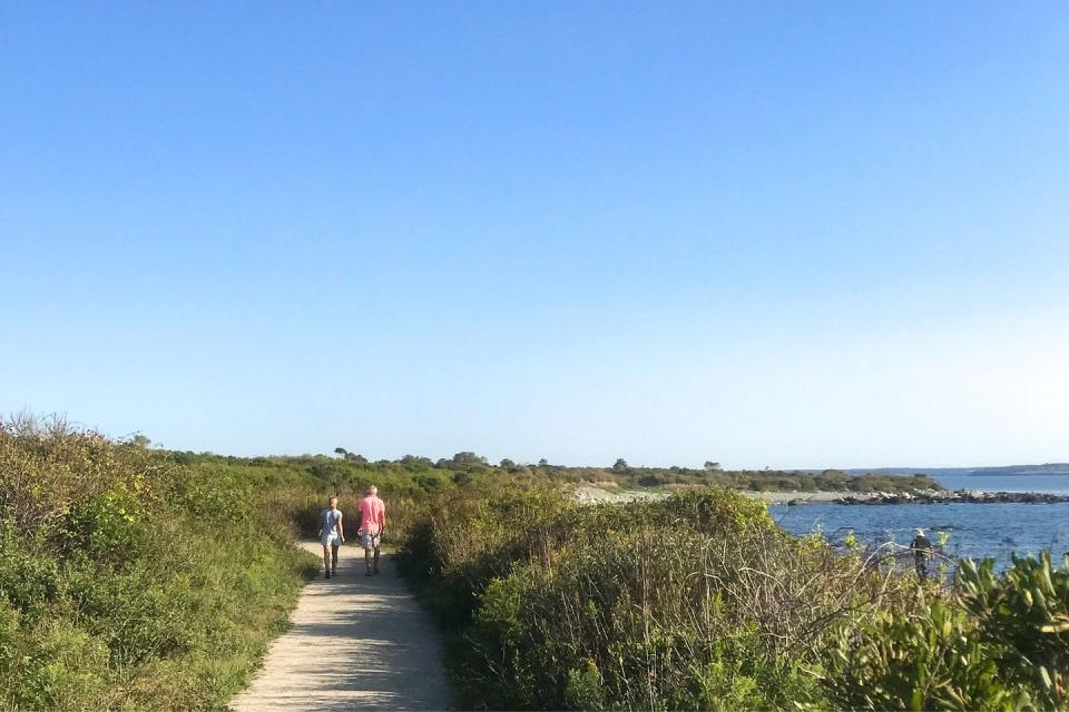 Go for a walk around Sachuest Point National Wildlife Refuge.