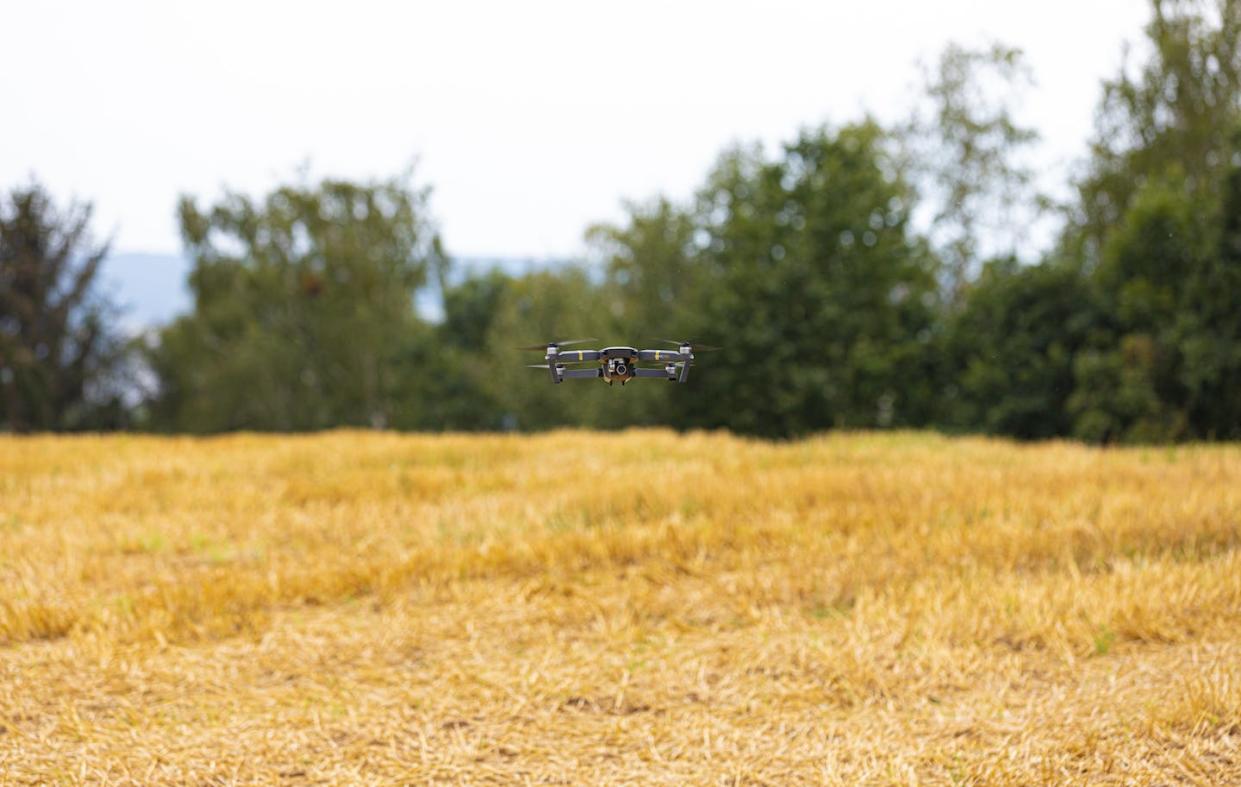 Digital technologies like drones are being heavily promoted to address the threats of climate change and biodiversity loss. (Unsplash)