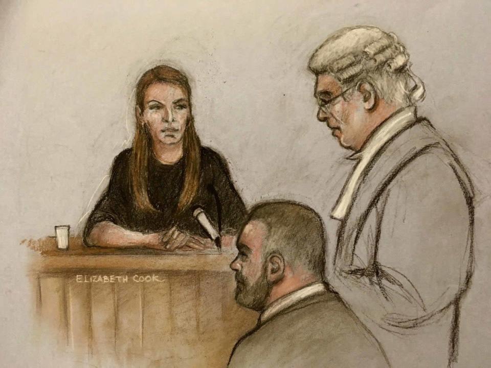 A court artist sketch during one hearing (Elizabeth Cook/PA) (PA Wire)