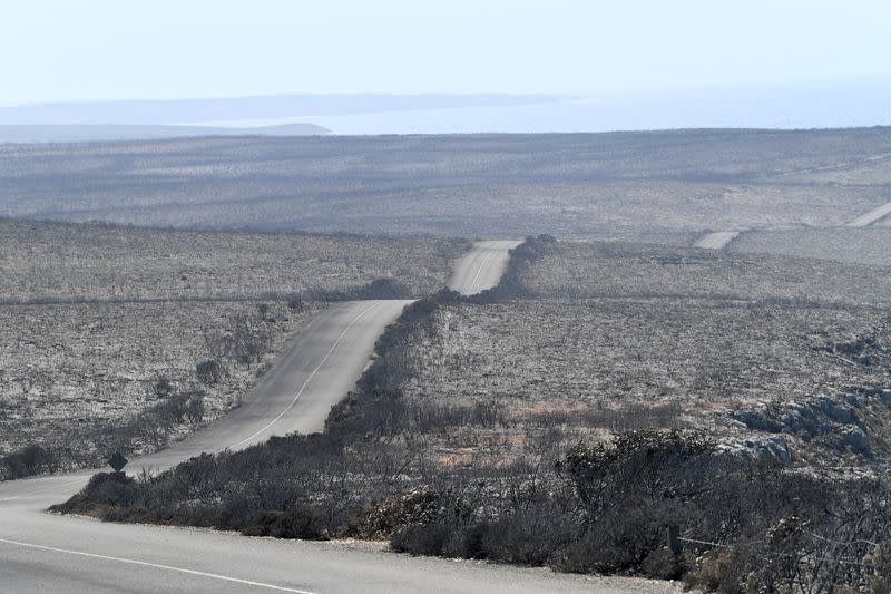 FILE PHOTO: A general view of the damage done to the Flinders Chase National Park after bushfires swept through on Kangaroo Island