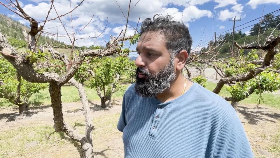 Sukhdeep Brar with the BC Fruit Growers' Associaton is fielding calls from farmers who are under financial stress this year after devastating tree fruit crop losses.