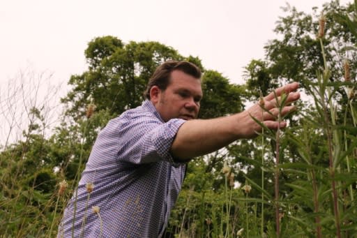 Ecologist Christopher Swan, who argues that rewilding efforts can be even more transformative in inner cities, tends to native plants on the University of Maryland campus in Baltimore, Maryland