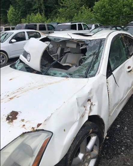 Photo of bumper smashed through the windshield of car found on top of teen girl after crash.