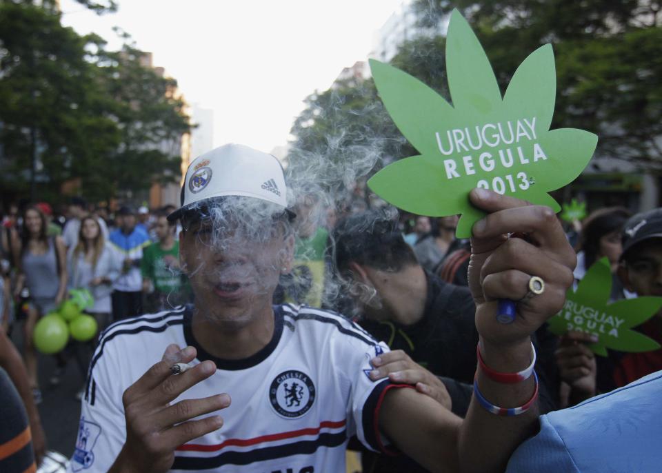 National market for legal pot in Uruguay