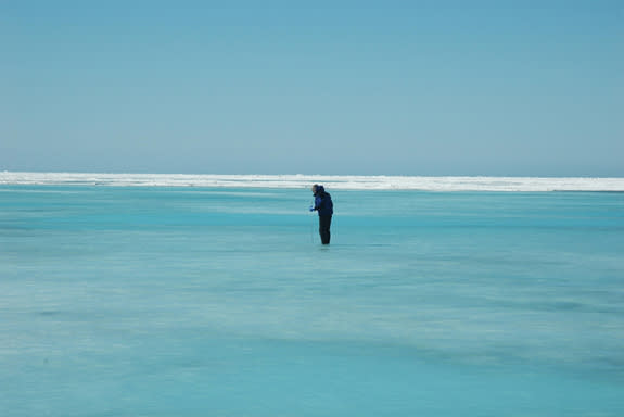 A rubber-suited Ken Golden wades into icy Arctic waters to measure the depth of this melt pond. Understanding how environmental conditions like temperature and incoming solar radiation affect percolation, or the movement of water up and down th