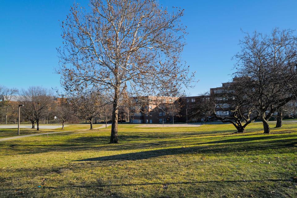 The view of the site of the newly-approved Michigan State University multicultural center at the corner of Farm and Shaw lanes. Photo: Sunday, Feb, 12, 2023