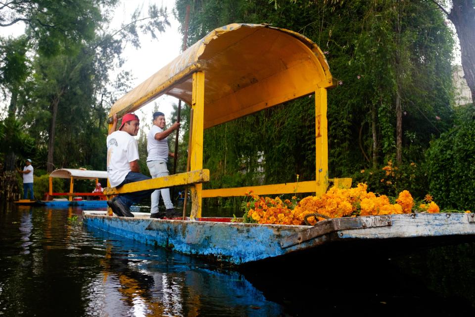 Trajineros of Xochimilco transporting flowers for their ofrendas.