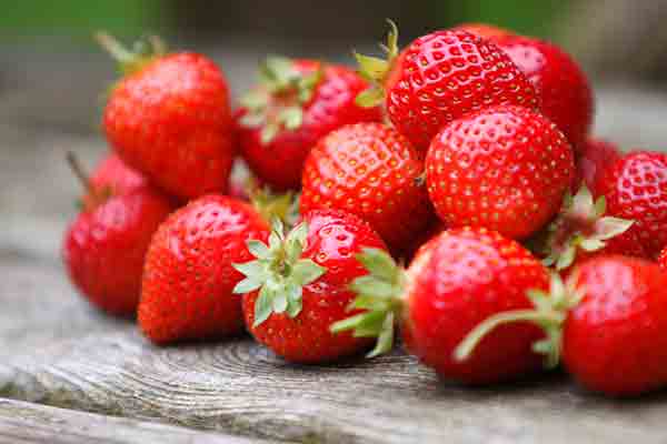 Fresas o frutillas