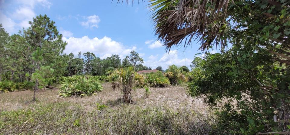 The Environmental Conservancy of North Port is currently raising funds to buy two lots in an identified Florida Scrub-Jay zone  to serve as habitat for the endangered birds and other wildlife.